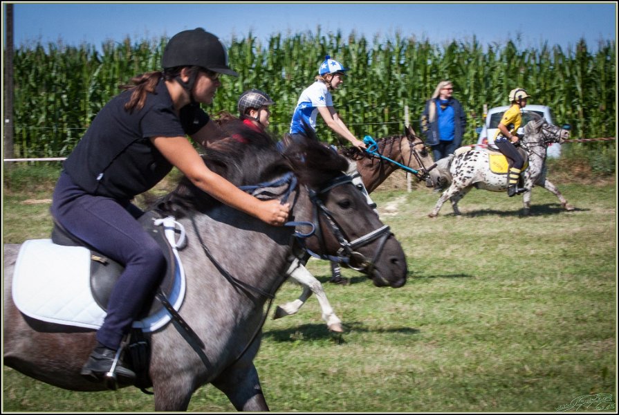 Mounted Games 019